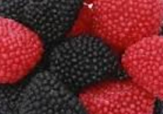 Mûres et Framboises perlées