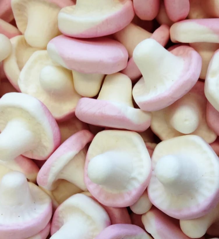Champignon Lisse