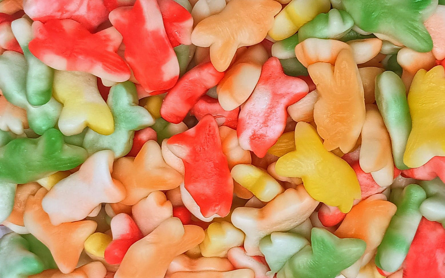 poisson coloré lot de 100g