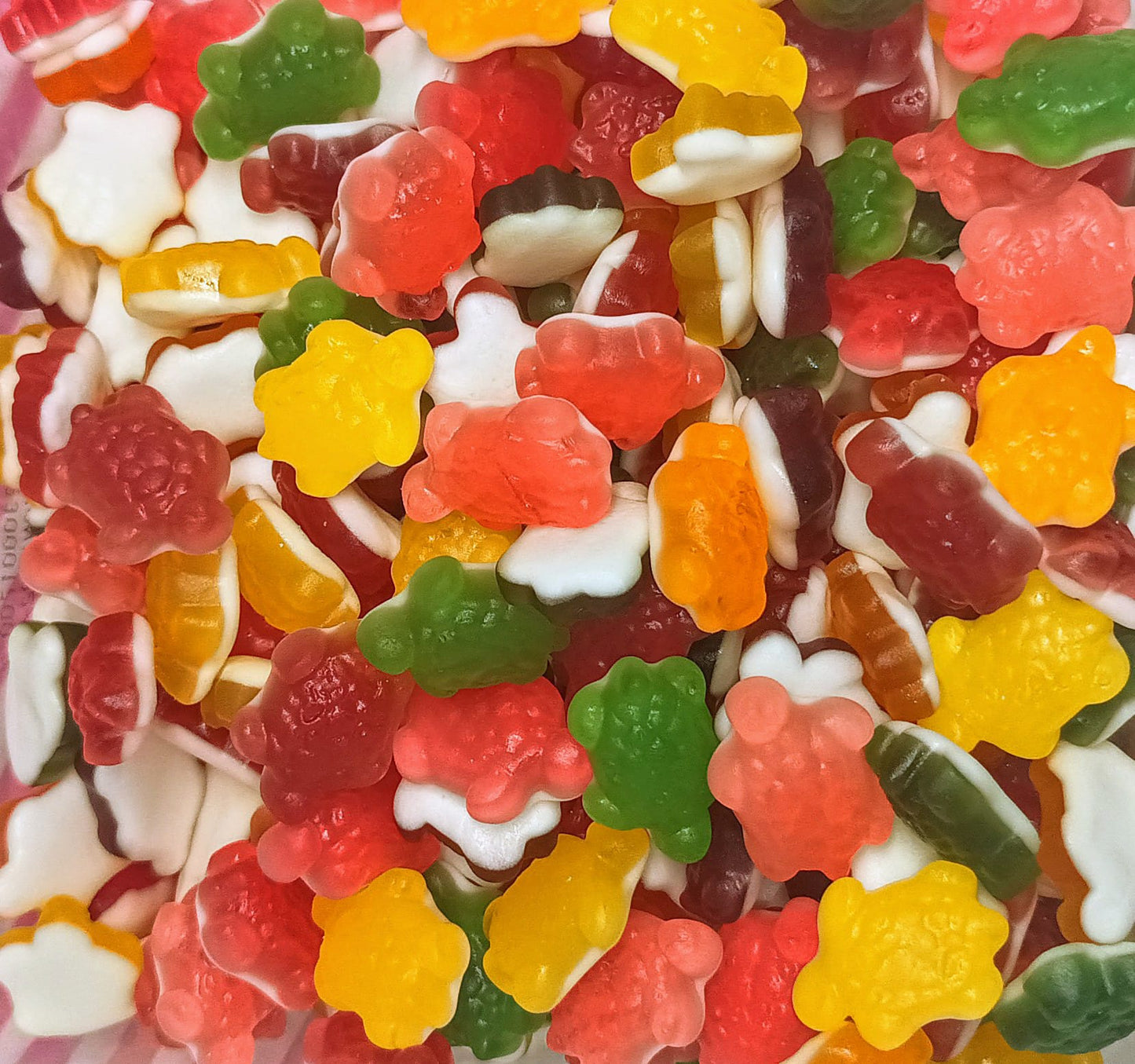 Tortues en gelée multicolores lot 100g