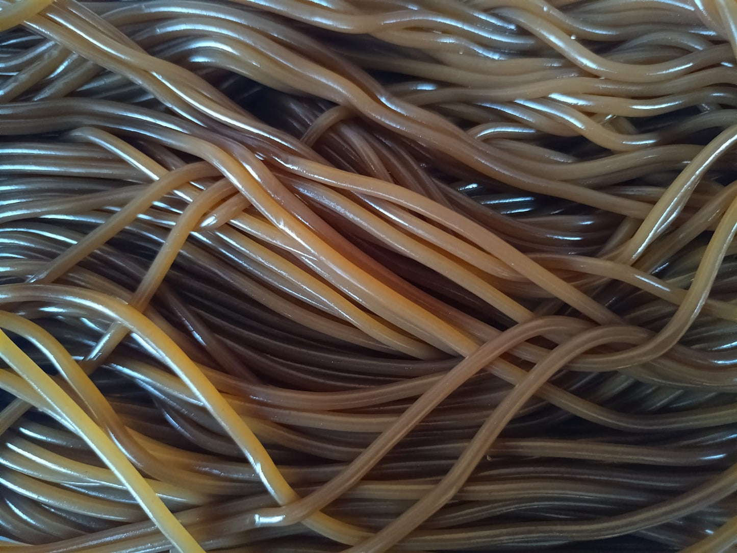 Lassos Cola scoubidou lot de 100g